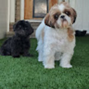 Meet your Posher, Erica